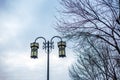 Chinese street lamps and branches