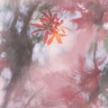 Chinese style background with red leaves