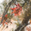 Chinese style background with red leaves