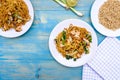 Chinese Style Chicken Chow Mein Meal Royalty Free Stock Photo