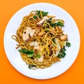 Chinese Style Chicken Chow Mein Meal Royalty Free Stock Photo