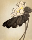Chinese-style drawings, sketches, Lotus,Water Lily Royalty Free Stock Photo