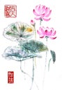 Chinese-style drawings, sketches, Lotus,Water Lily Royalty Free Stock Photo