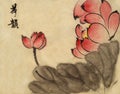 Ancient Chinese traditional hand brush and ink painting - Lotus,Water Lily