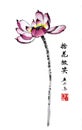 Ancient Chinese traditional hand brush and ink painting -  Lotus,Water Lily Royalty Free Stock Photo