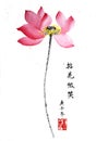 Ancient Chinese traditional hand brush and ink painting -  Lotus,Water Lily Royalty Free Stock Photo