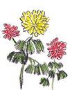 Chinese style drawn flowers