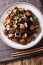 Chinese style eggplants in spicy soy sauce with ginger, garlic,