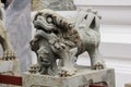 Chinese style lion carved stone on the pedestal