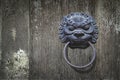 Chinese Style Lion Head Door Handle on Wood Background