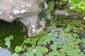 Chinese style pond in Shihlin Veuve Church