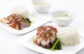 Chinese style roasted duck and pork with rice Royalty Free Stock Photo