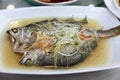 Chinese Style Steam Fish Royalty Free Stock Photo