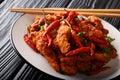 Chinese szechuan chicken in spicy sauce with garlic and chili close-up on a plate. horizontal