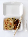 Chinese takeaway food Royalty Free Stock Photo
