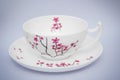 Chinese Tea Cup