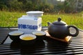 Chinese tea set Royalty Free Stock Photo