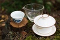 Chinese tea set for gong fu brewing tea Royalty Free Stock Photo