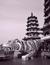 Chinese Temple: The dragon and tiger pagodas Royalty Free Stock Photo