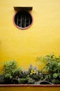 Chinese temple garden detail in vietnam Royalty Free Stock Photo