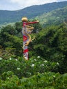 Chinese temple on the island of Koh Phangan