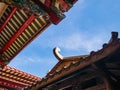 Chinese Temple Rooftop Royalty Free Stock Photo