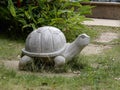 Tortoise statue