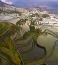 Chinese terrace farm yunnan yuanyang