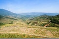 Chinese terraced fields in spring Royalty Free Stock Photo