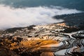 Chinese terraces