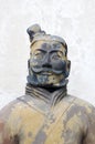 Chinese terracotta warrior