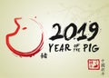 2019 Year of the Pig - Chinese New Year