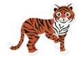 Chinese tiger. Vector illustration isolated on white background