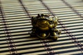 Chinese toad on bamboo mat Royalty Free Stock Photo