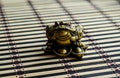 Chinese toad on bamboo mat Royalty Free Stock Photo