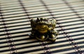 Chinese toad on bamboo mat Royalty Free Stock Photo