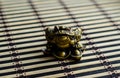 Chinese toad on bamboo mat Royalty Free Stock Photo