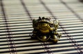 Chinese toad on bamboo mat Royalty Free Stock Photo