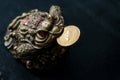 Chinese toad with Etherium coin