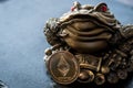 Chinese toad with Etherium coin Royalty Free Stock Photo