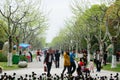 Chinese Tourists at Shanghai Flower Port