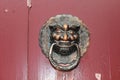 Chinese traditional brass knocker