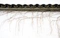 Chinese traditional building Royalty Free Stock Photo