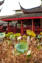 Chinese traditional classical lotus pond garden and architectural landscape Royalty Free Stock Photo