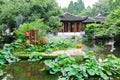 The Chinese traditional courtyard scenery