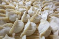 Chinese traditional delicious dumplings