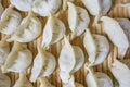 Chinese traditional delicious dumplings