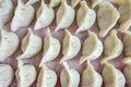 Chinese traditional delicious dumplings