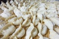 Chinese traditional delicious dumplings