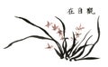 Chinese traditional distinguished gorgeous decorative hand-China, ink orchid Royalty Free Stock Photo